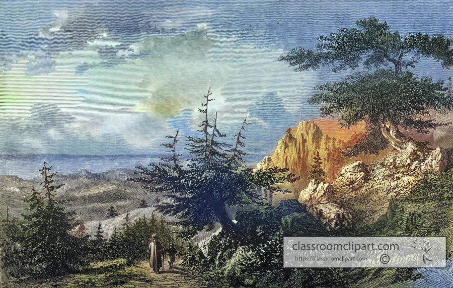 The Cedars of Lebanon Illustration Colorzied illustration