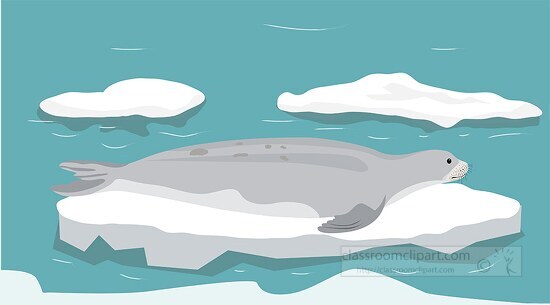 seal resting piece of broken ice on ocean clipart