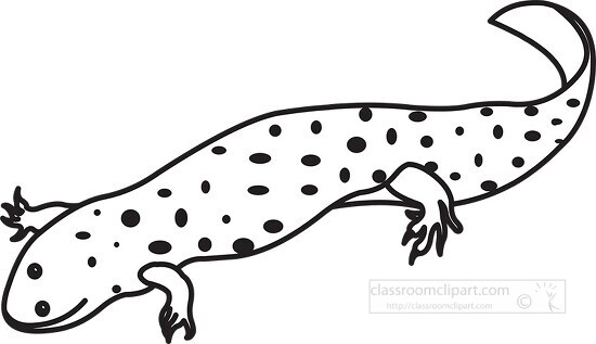 Free salamander black outline clipart 45 - Classroom Clipart
