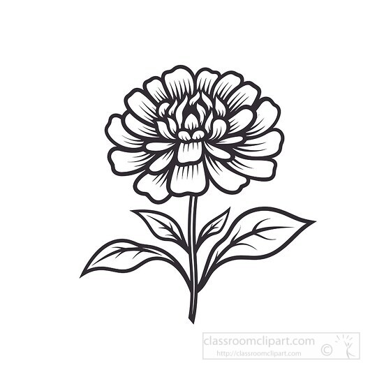 zinnia flower black outline printable