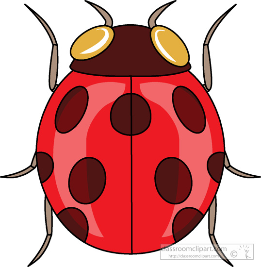 animated insect clipart - photo #18