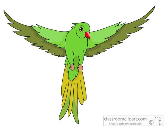 Bird Clipart : green-parrot-open-wings-914 : Classroom Clipart
