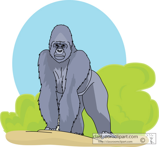 clipart pictures of gorillas - photo #29