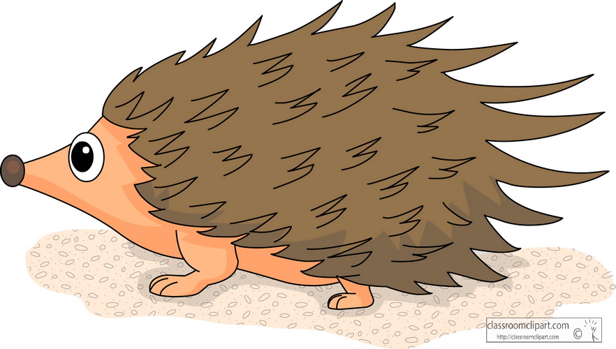 hedgehog clipart pictures - photo #18