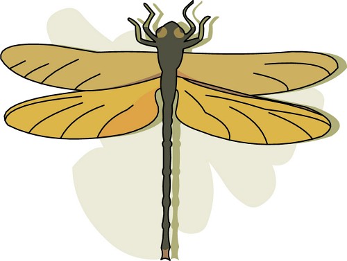 animated insect clipart - photo #39
