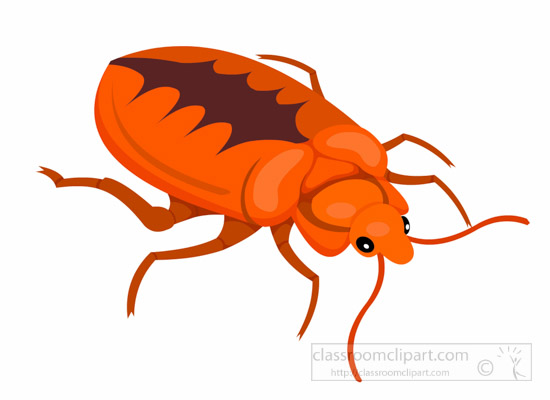 clipart of insect - photo #49