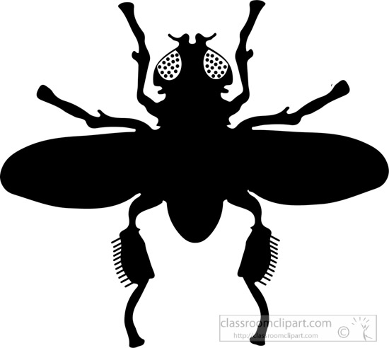 winged insects clipart - photo #21