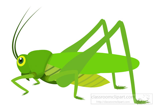 Insect Clipart : green-grasshopper-insect-clipart-725 ...