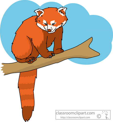 clipart red panda - photo #15