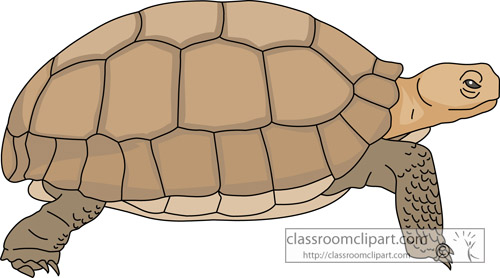 clipart turtle clip art - photo #25