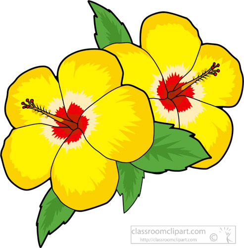 yellow hibiscus clipart - photo #33