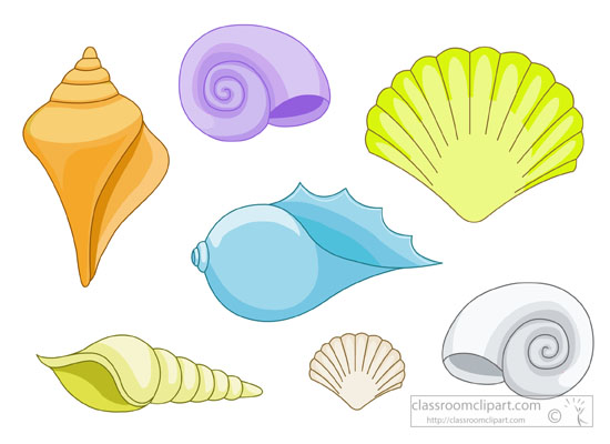 free clipart beach shells - photo #23