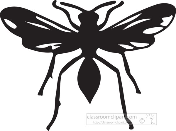 winged insects clipart - photo #45