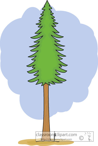 clip art redwood tree - photo #7