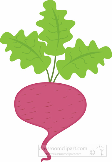 free clipart beets - photo #25