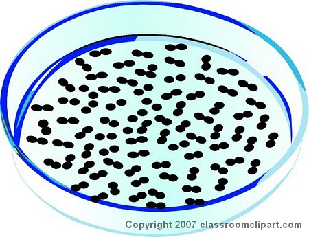 science clip art. Caption, Bacteria Clipart