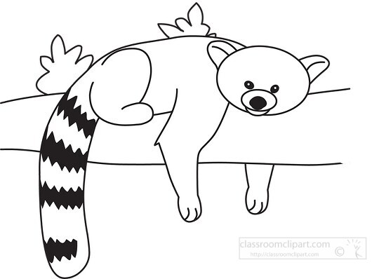 Red Panda Cartoon Black Outline Clipart Classroom Clip Art