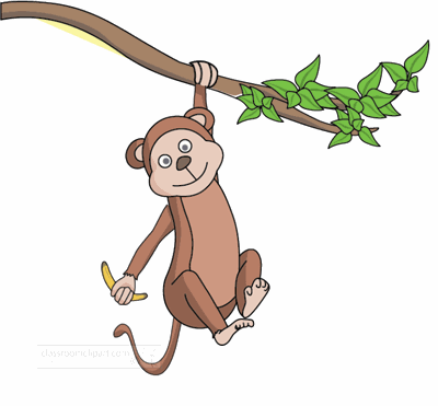 Monkey GIF - Find on GIFER