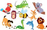 small animal banner