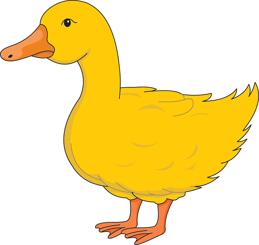 yellow duck vector clipart