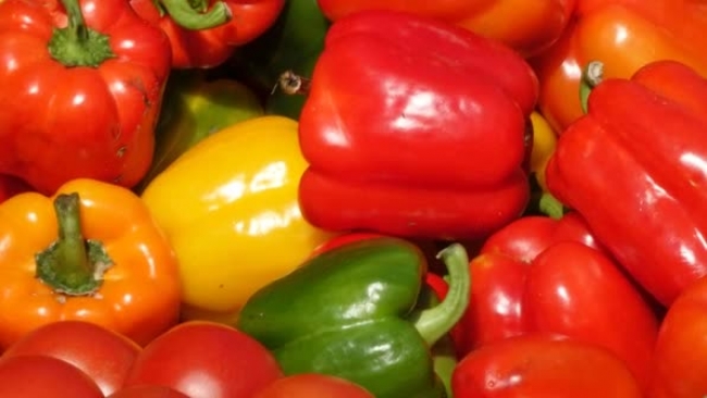 red green yellow peppers panning video