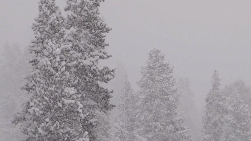 winter snow falling in montana