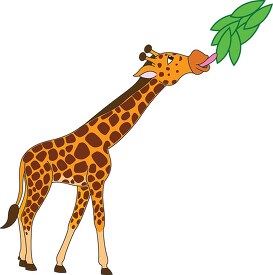 african giraffe clipart