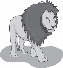 african lion clipart gray