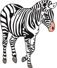 african zebra walking clipart
