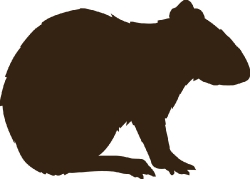 agouti animal silhouette cutout