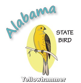 alabama state bird yellowhammer