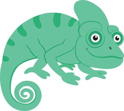 amphibian chameleon clipart