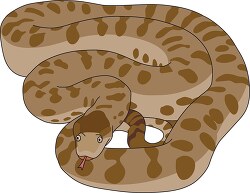 anaconda snake clipart