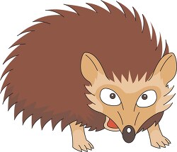 angry looking hedgehog clipart
