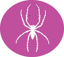 animal spider round icon clipart