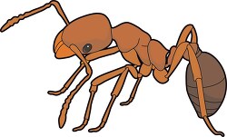 ant insect black lined clipart