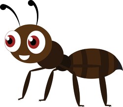 Ant Insect Clipart