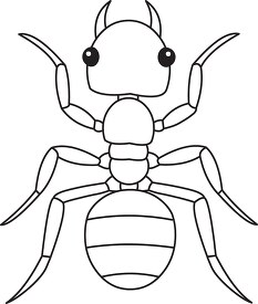 ant insects black white outline clipart