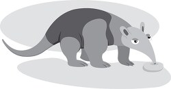 anteater clipart gray color clipart