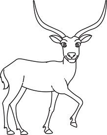 antelope animal black white outline clipart