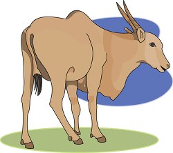 antelope animal clipart 34