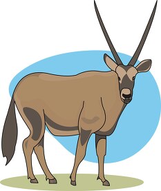 antelope animal clipart 35