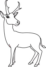 antelope black white outline clipart