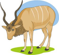 antelope the kudo standing blue background clipart