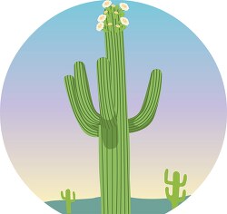 arizona large saguaro cactus with flowers clipart