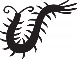 arthropod millipede silhouette clipart