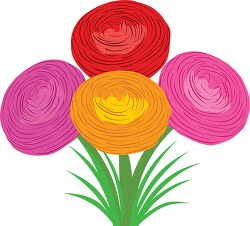 assorted colorful ranunculus flower clipart
