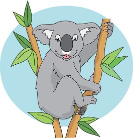 austrialian koala sitting in tree holding branch