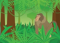 baboon in rainforest surrounded by plants clipart