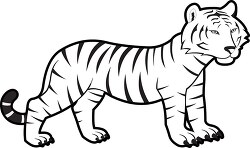 baby bengal tiger black white outline clipart